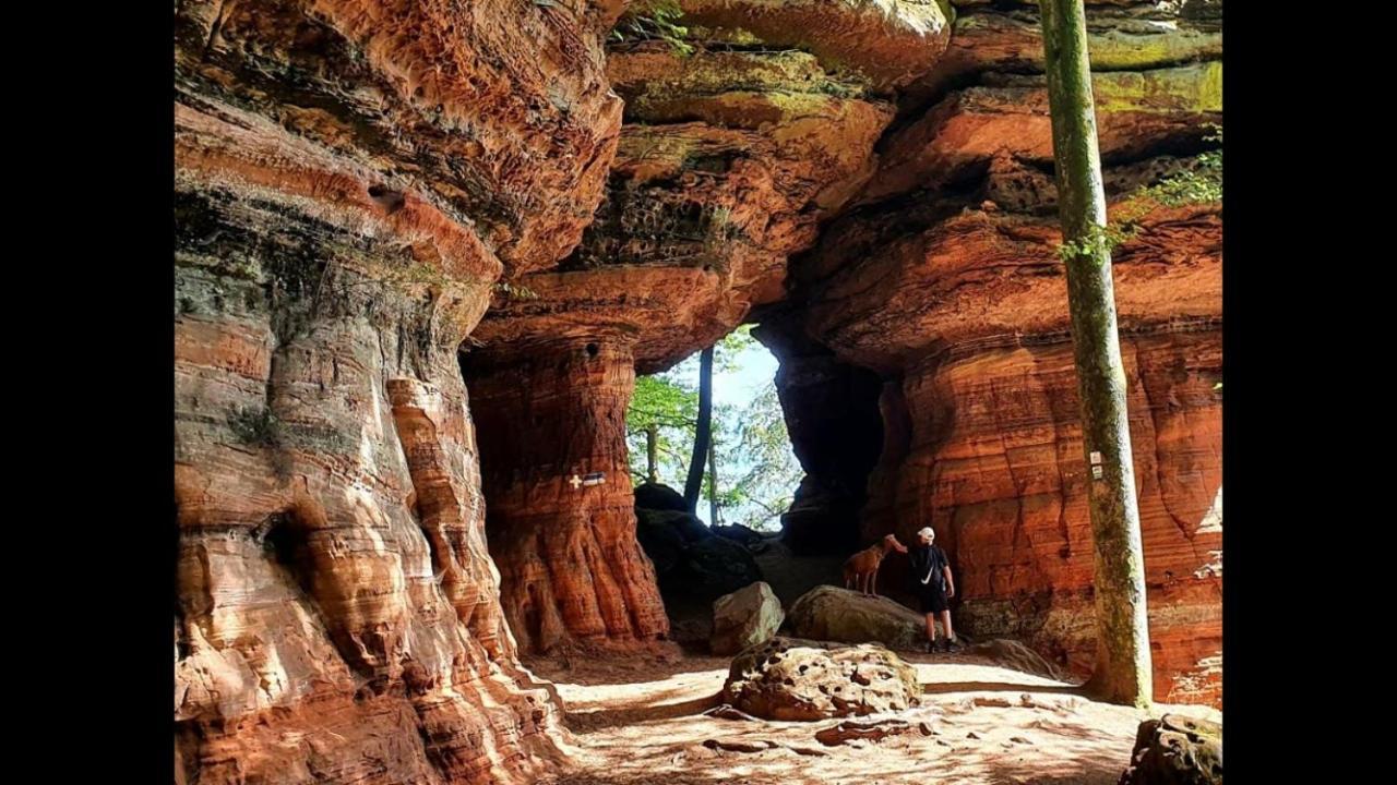 Vila La Petite Halte Lemberg Exteriér fotografie