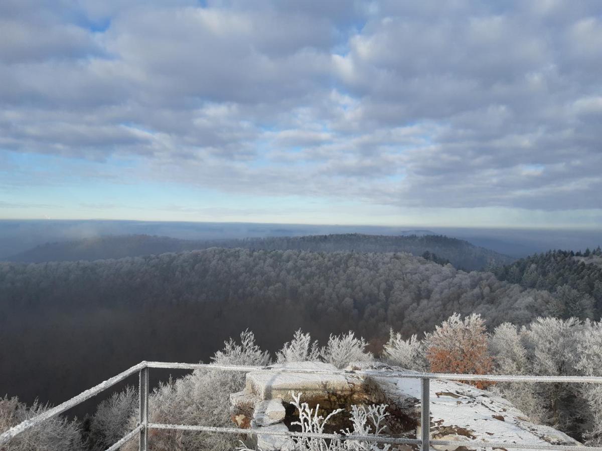 Vila La Petite Halte Lemberg Exteriér fotografie