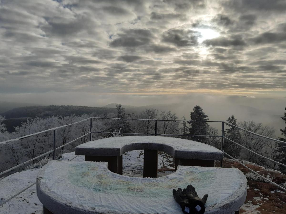 Vila La Petite Halte Lemberg Exteriér fotografie