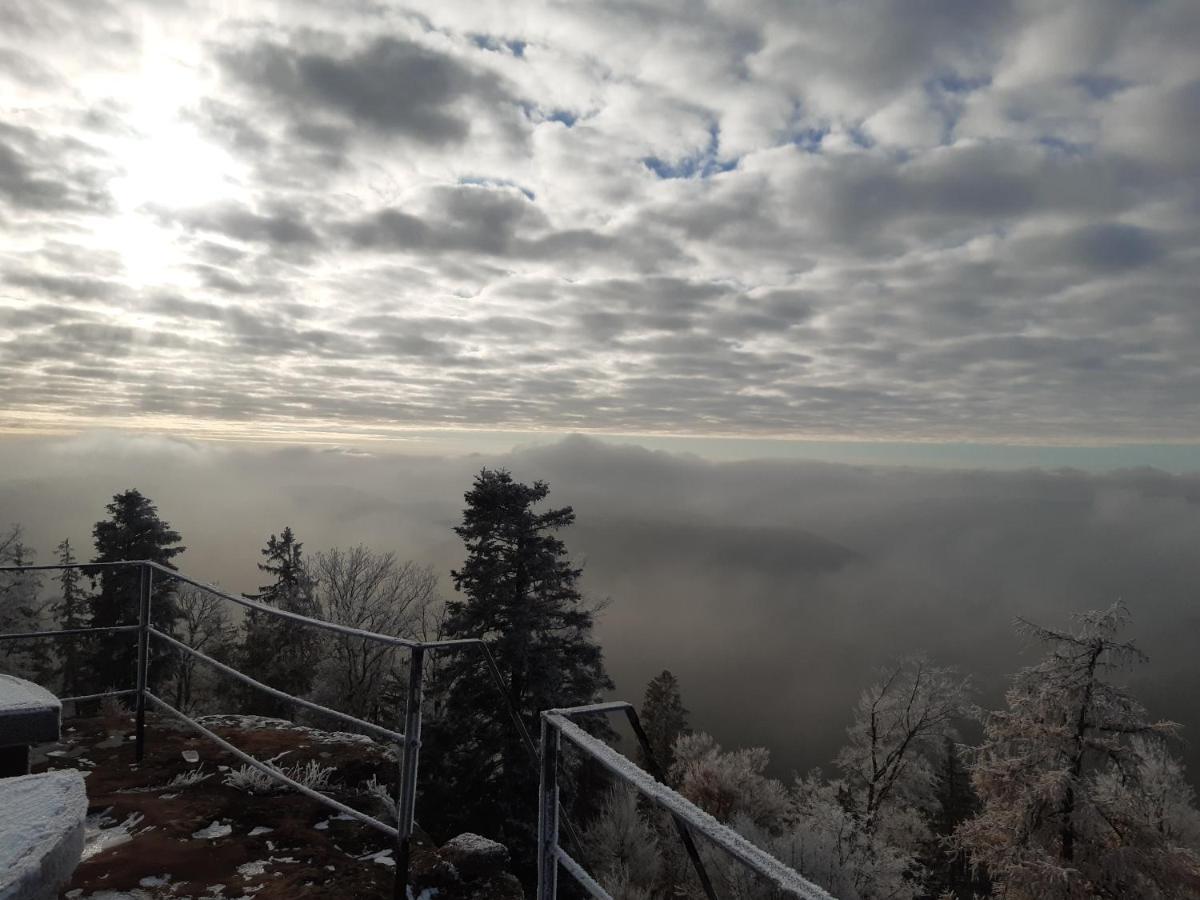 Vila La Petite Halte Lemberg Exteriér fotografie